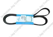 FOR JAGUAR - X TYPE V6 PETROL ENGINE DRIVE BELT C2S24900