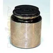 Protex Caliper Piston - 090P0317