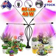 4 Head 80 LED Grow Light Growing Vegetables Flowers Indoor Clip 40W Plant Lamp