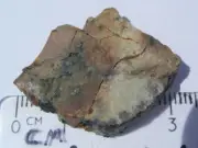 7.19 grams DJOUA 001 Meteorite Enstatite achondrite (Aubrite) slice with COA