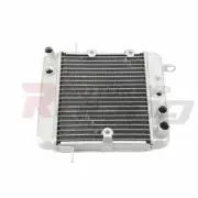 New Engine Cooling Radiator Cooler For Honda PS250 Big Ruckus 2006 19010-KTB-003