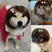 Funny Dog Wig Pet Costumes, Cat Costume Synthetic Hairpiece Cosplay Wigs, Hea...