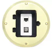 RiteAV Cat6 Shielded Ethernet Coax Cable TV Floor Box Gold