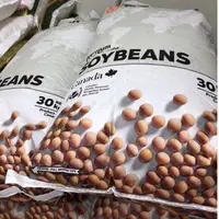 在飛比找蝦皮購物優惠-【現貨免運】30公斤 加拿大非基改黃豆 SOYBean 業務