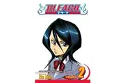 Bleach, Vol. 2: Volume 2