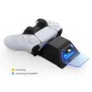 Double Slot Controller for P5 with Visual LED Alerts USB C Cable