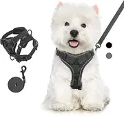 Cat Harness and Lead Set for Walks, Adjustable Kitten Vest Harness with Reflective Strip, Escape Proof Pet Safety Vest for Cats, Puppies, XL, Black