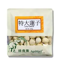 在飛比找樂天市場購物網優惠-綠食集 特大蓮子 300g