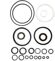 Rebuild Kit 1 set Compatible with Evinrude Johnson Trim Tilt 25 35 40 48 50 Hp 1989-2004 435567435894 435903 0435567 Fsm013 Shipboard Sailing