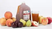 Kauffman Orchards Homemade, Fresh-Pressed Apple Cider, Frozen for Shipping