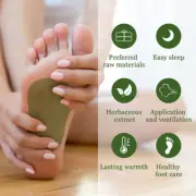 12Pcs Wormwood Foot Pads Detox Foot Patches Self Heating Patch For Foot CaME