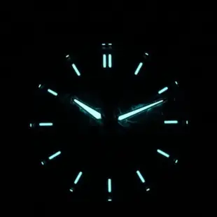 【CITIZEN 星辰】Eco-Drive光動能萬年曆商務腕錶男錶 手錶 母親節 禮物(BL8160-07X)
