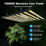 Spider 1000W Full Spectrum Most Efficient Grow Light Commercial Samsung LED Lamp