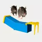 1Pack Reusable Humane Mouse Trap Live Catch And Release No Kill Rat Trap Cage