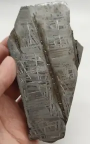 587g Aletai iron meteorite slice