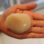 日本北海道生食級巨無霸干貝