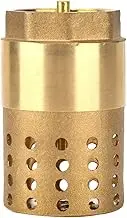 Check Valve, Brass One Way Non Return Valve, DN25 Female Thread Foot Valve, Mesh Check Valve with Holes Strainer Filter for Electric Water Heater