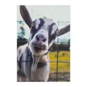Hallmark Shoebox Birthday Card - Goat You