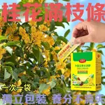 臺灣出貨 桂花專用肥 水溶肥 複閤肥 桂花樹 四季桂 月桂 金桂 通用 肥料 氮磷鉀 液體