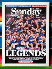 ✺Framed✺ 2016 WESTERN BULLDOGS AFL Premiers Poster - 62cm x 44.5cm x 3cm