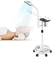 2 In 1 Beauty Facial Steamer With LED 5X Magnifying Lamp Home Spa Salon Use Professional Portable Facial Steamer Whiten Skin(Color:White)