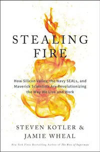 在飛比找誠品線上優惠-Stealing Fire: How Silicon Val