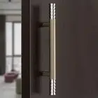 Stainless Steel Satin White Lotus Main Door Handle for Pull and Push Operations