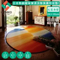 在飛比找momo購物網優惠-【日本池彥IKEHIKO】日本製藺草蓆清涼除臭橢圓形地墊19