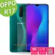 平價優質 9H鋼化玻璃保護貼 疏水防油抗指紋 OPPO R17 6.4吋 專用款