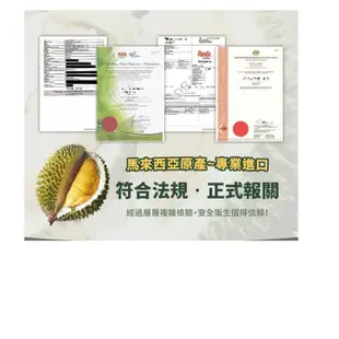 馬來西亞【貓山王中王榴槤】取肉盒裝液態氮冷凍D197(400g/盒)這是加購商品 $3000免運