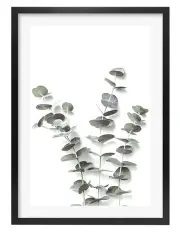 [Profile Australia] Australian Made Eucalyptus Foliage Art Print A1 Frame in Black
