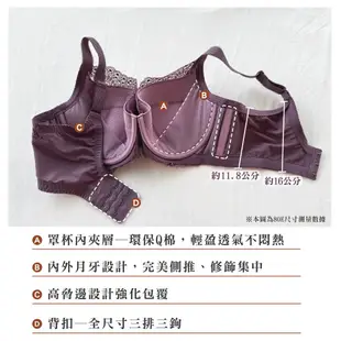 SWEAR 思薇爾 美波曲線系列 E-H罩 調整型 蕾絲 涼感 包覆 大罩 塑身 女內衣 (風信紫)