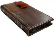Genuine Leather Case fo Iphone 14 13 12 15 16 Pro Max Wallet Bible Book Vintage