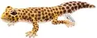 HANSA BH8140 Leopard Gecko Reptiles 26cm Stuffed animal Plush Doll