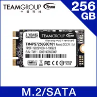 在飛比找PChome24h購物優惠-【福利品】TEAM十銓 MS30 M.2-2242 SATA