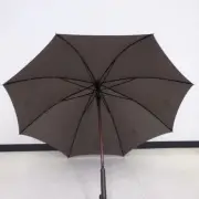Unused Patek Philippe Umbrella