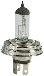 Bottari Halogen Bulb H5