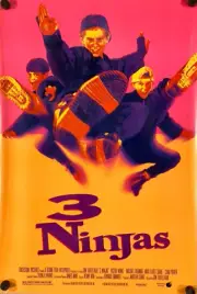 Original Movie MiniPoster (13" x 19-1/2"): 3 NINJAS - Touchstone 1992 Rolled SS