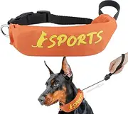 Puppy Collar and Leashes, Small Dog Collar and Leashes Set, Adjustable Fit Chew-Proof Escape-Proof Harness for Training Obedience Hunting Outdoor Use Barking Control Hiking