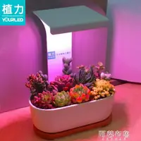 在飛比找樂天市場購物網優惠-樂天精選~植物燈 植力【桌面植物燈】多肉補光led全光譜上色