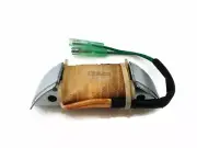 Boat Motor T15-04000300 Lighting Coil For Parsun Makara Outboard T 9.9hp 15hp 2T