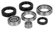 All Balls Differential Seal Only Kit for 2020 Can-Am Commander 800R UTV [Rear]