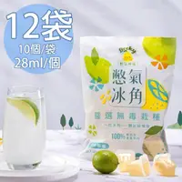 在飛比找momo購物網優惠-【Becky Lemon 憋氣檸檬】100%原味檸檬冰角12