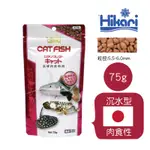 小郭水族-高夠力 HIKARI【底棲肉食魚專用飼料 75G】底棲魚 沉水 下沉型 恐龍 紅尾鴨嘴28513.21915