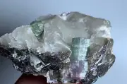 Tourmaline Crystal specimen From Afghanistan 297Carats