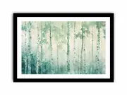 White Birch Tree Canvas Framed Art