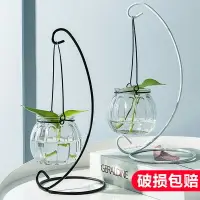 在飛比找樂天市場購物網優惠-創意懸掛式透明水培玻璃花瓶插花盆綠蘿壁掛小魚缸簡約現代小吊瓶
