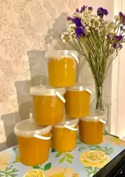 bees honey 1kg new