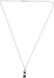 Pet Ashes Necklace Dog Necklace Small Ashes Jewelry Key Pet Cremation Jewelry Dogs for Pet Urns Ash Necklace Pendant Memorial Ash Pendant Dog Ash Necklace Stainless Steel Silver