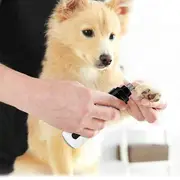 Electric Pet Nail Polisher 2-Gear Manicure Quiet Automatic for Cats Dogs Black White Black L:3.2x3.2x13.8cm